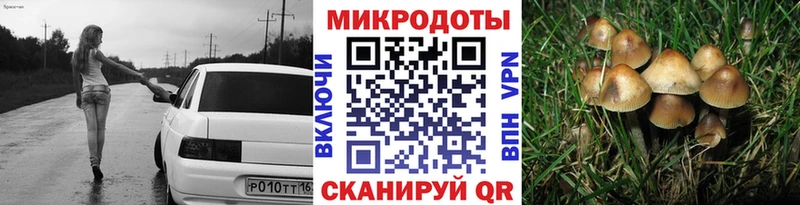 Купить где  Хилок  Галлюциногенные грибы Psilocybine cubensis 